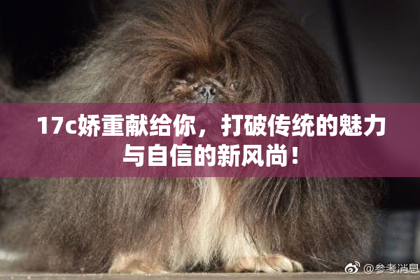 17c娇重献给你，打破传统的魅力与自信的新风尚！