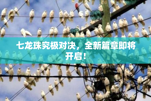 七龙珠究极对决，全新篇章即将开启！