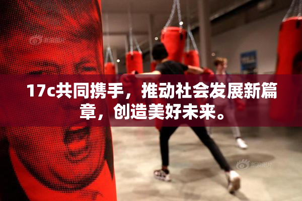 17c共同携手，推动社会发展新篇章，创造美好未来。