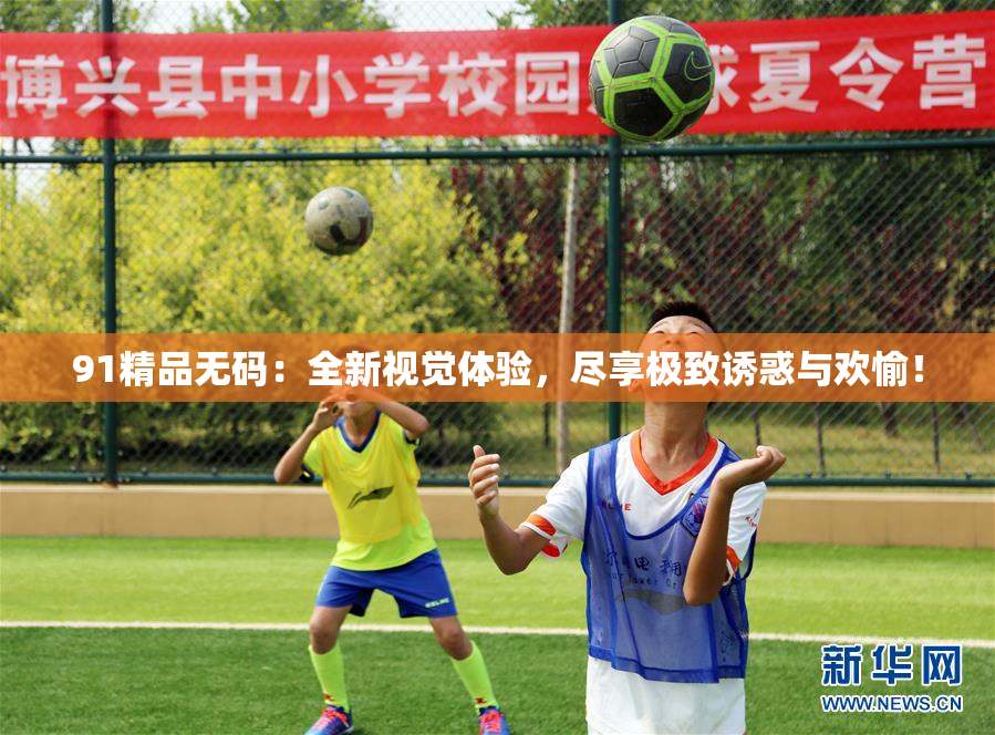 91精品无码：全新视觉体验，尽享极致诱惑与欢愉！