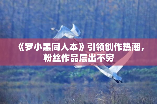 《罗小黑同人本》引领创作热潮，粉丝作品层出不穷