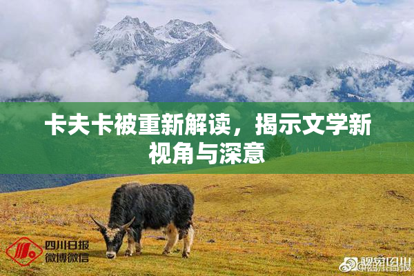 卡夫卡被重新解读，揭示文学新视角与深意