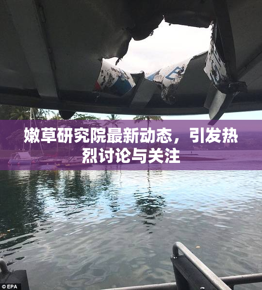 嫩草研究院最新动态，引发热烈讨论与关注