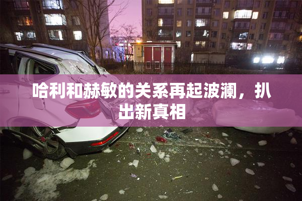 哈利和赫敏的关系再起波澜，扒出新真相