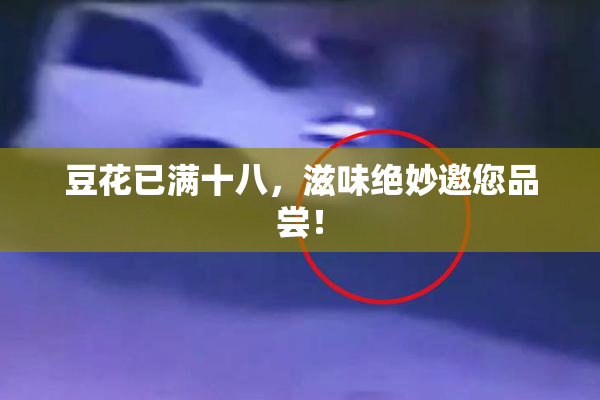 豆花已满十八，滋味绝妙邀您品尝！