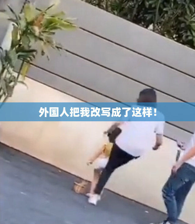 外国人把我改写成了这样！