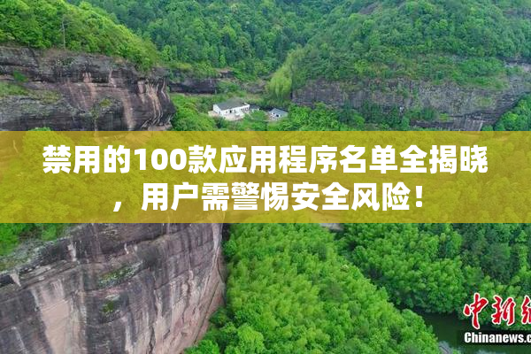 禁用的100款应用程序名单全揭晓，用户需警惕安全风险！