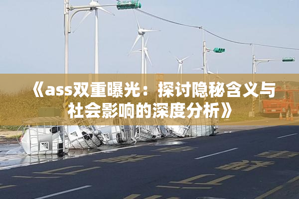 《ass双重曝光：探讨隐秘含义与社会影响的深度分析》
