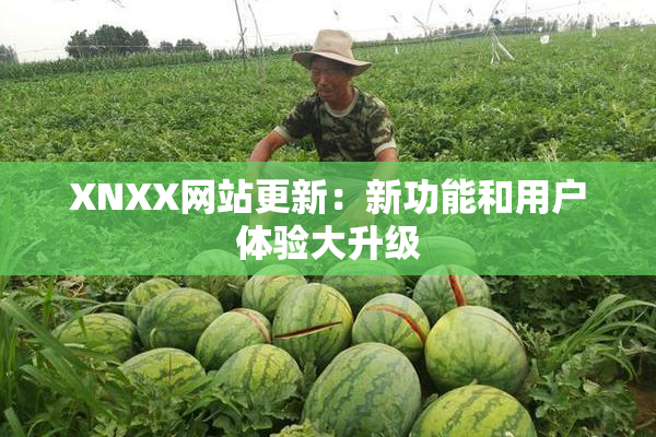 XNXX网站更新：新功能和用户体验大升级