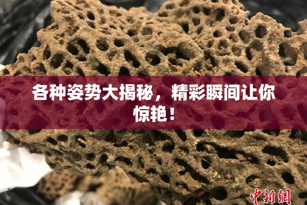 各种姿势大揭秘，精彩瞬间让你惊艳！