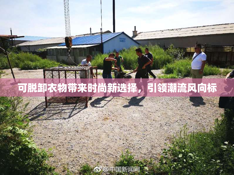 可脱卸衣物带来时尚新选择，引领潮流风向标
