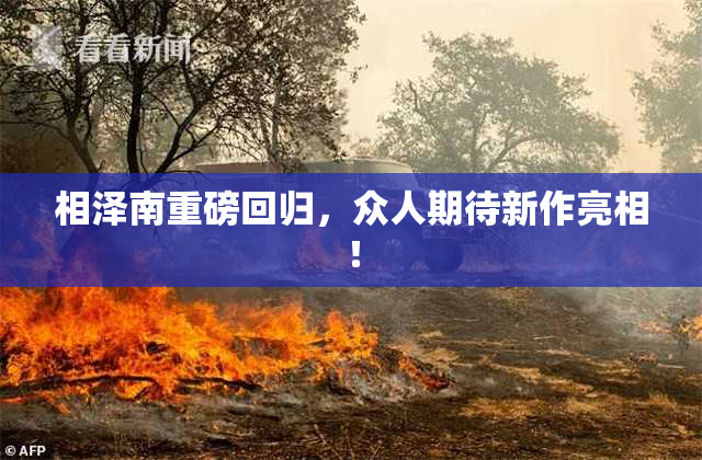 相泽南重磅回归，众人期待新作亮相！
