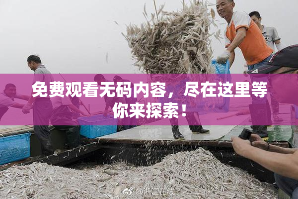 免费观看无码内容，尽在这里等你来探索！