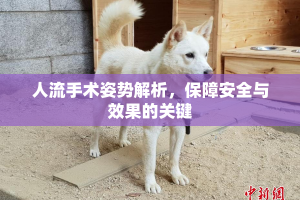 人流手术姿势解析，保障安全与效果的关键