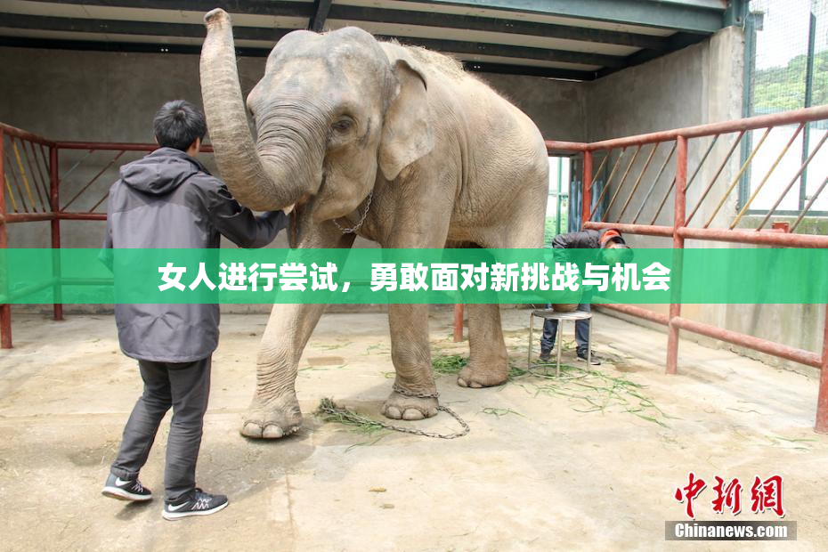 女人进行尝试，勇敢面对新挑战与机会
