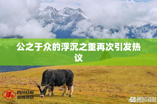 公之于众的浮沉之重再次引发热议