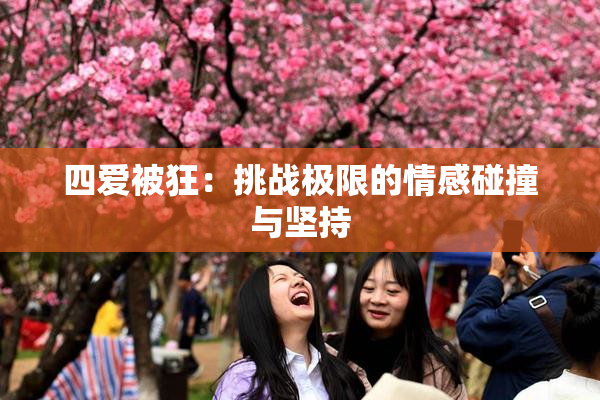 四爱被狂：挑战极限的情感碰撞与坚持