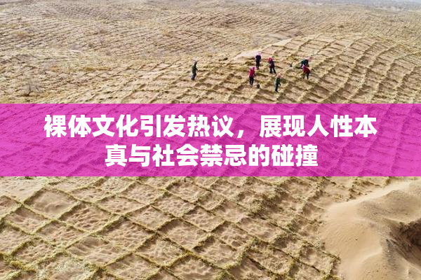 裸体文化引发热议，展现人性本真与社会禁忌的碰撞