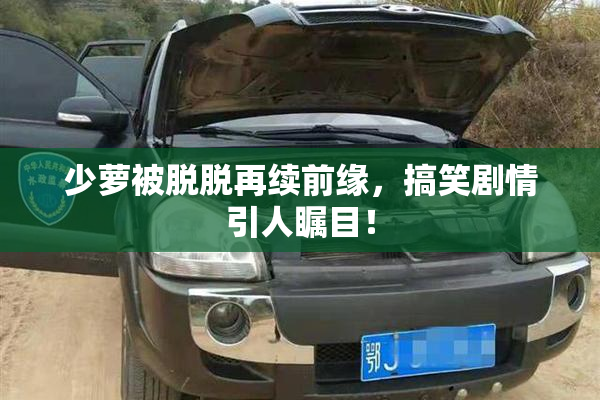 少萝被脱脱再续前缘，搞笑剧情引人瞩目！