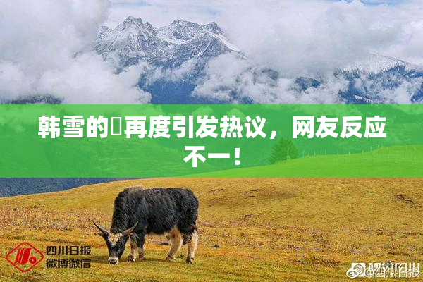 韩雪的婬再度引发热议，网友反应不一！