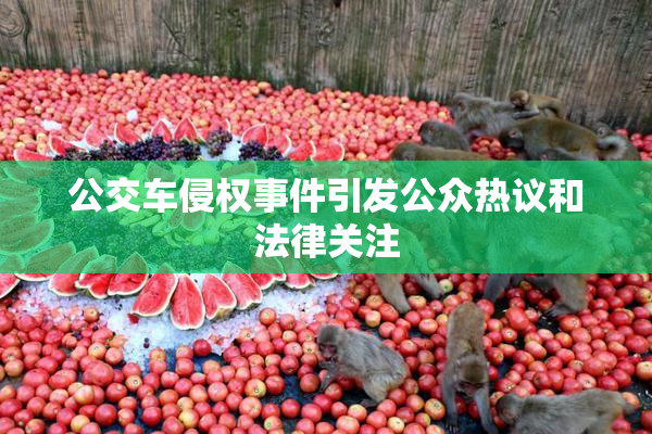 公交车侵权事件引发公众热议和法律关注