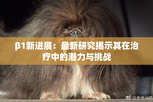 β1新进展：最新研究揭示其在治疗中的潜力与挑战