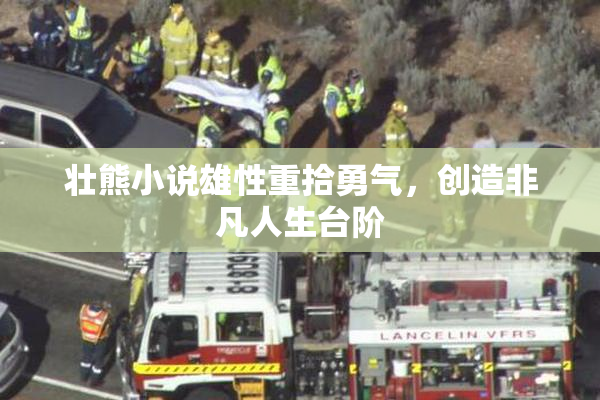 壮熊小说雄性重拾勇气，创造非凡人生台阶