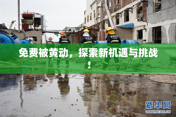 免费被黄动，探索新机遇与挑战！
