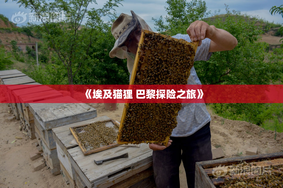 《埃及猫狸 巴黎探险之旅》