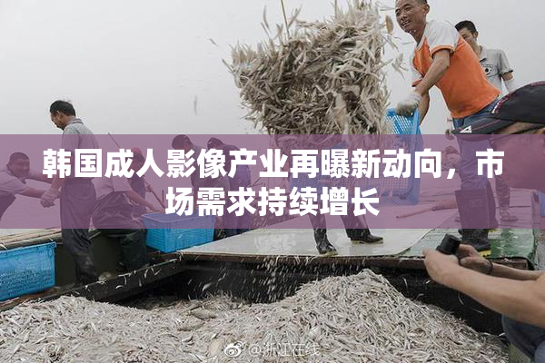 韩国成人影像产业再曝新动向，市场需求持续增长