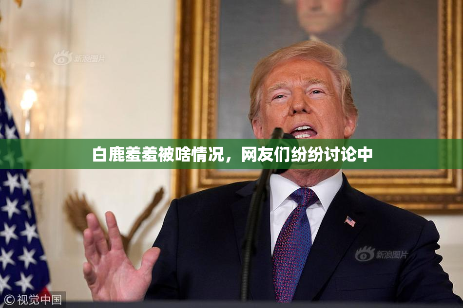 白鹿羞羞被啥情况，网友们纷纷讨论中
