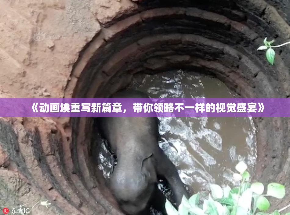 《动画埃重写新篇章，带你领略不一样的视觉盛宴》