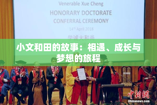 小文和田的故事：相遇、成长与梦想的旅程