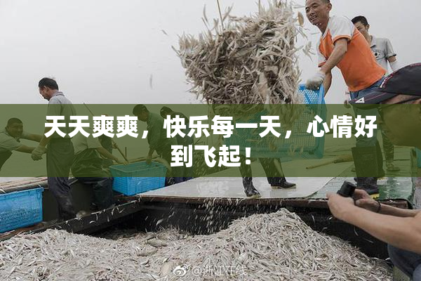 天天爽爽，快乐每一天，心情好到飞起！