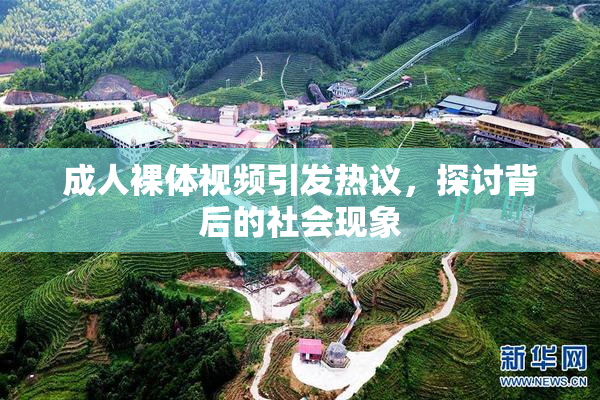 成人裸体视频引发热议，探讨背后的社会现象