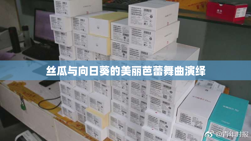 丝瓜与向日葵的美丽芭蕾舞曲演绎