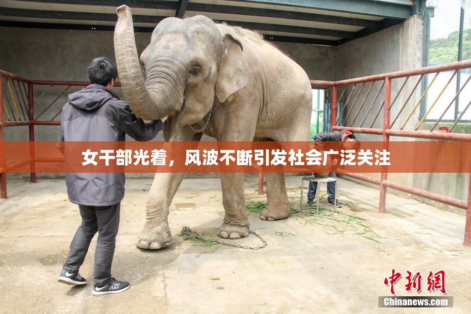 女干部光着，风波不断引发社会广泛关注