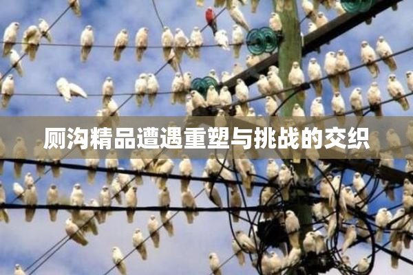 厕沟精品遭遇重塑与挑战的交织