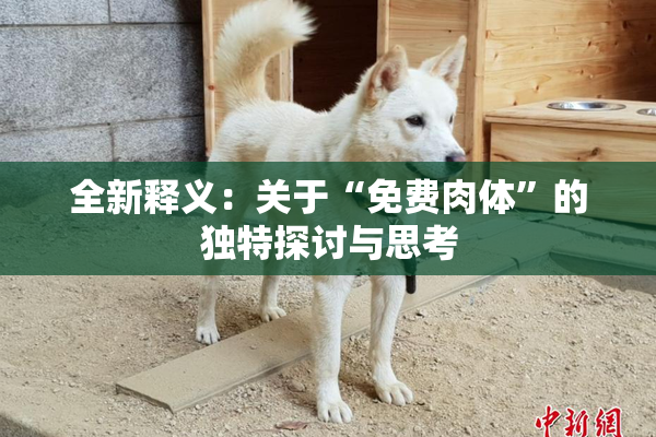 全新释义：关于“免费肉体”的独特探讨与思考