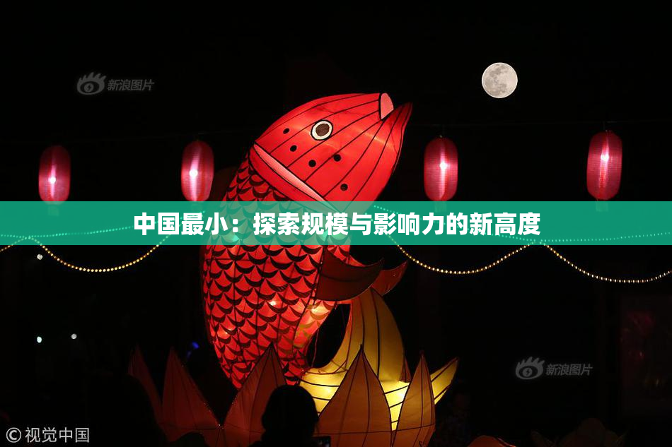 中国最小：探索规模与影响力的新高度