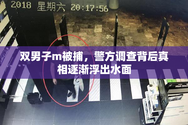 双男子m被捕，警方调查背后真相逐渐浮出水面