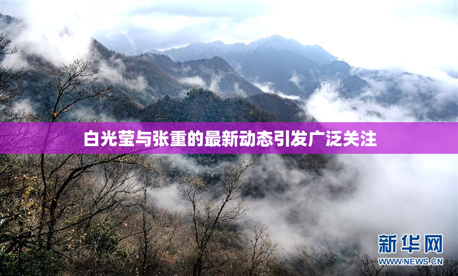 白光莹与张重的最新动态引发广泛关注