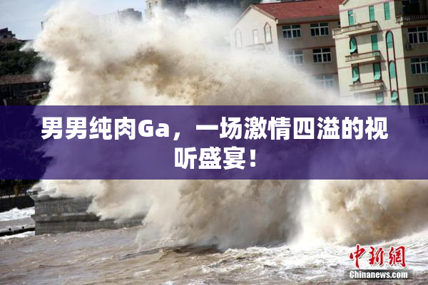 男男纯肉Ga，一场激情四溢的视听盛宴！