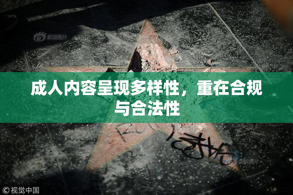 成人内容呈现多样性，重在合规与合法性