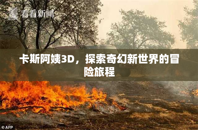卡斯阿姨3D，探索奇幻新世界的冒险旅程