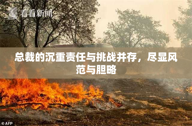 总裁的沉重责任与挑战并存，尽显风范与胆略
