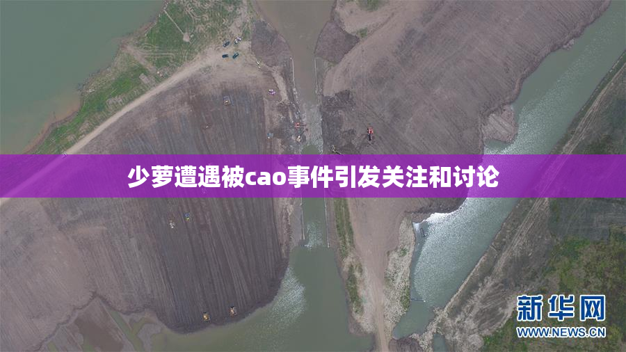 少萝遭遇被cao事件引发关注和讨论