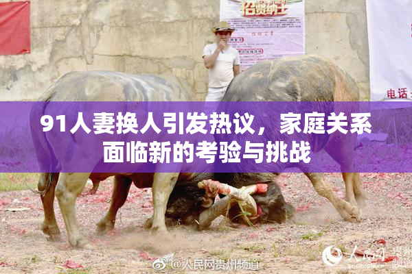 91人妻换人引发热议，家庭关系面临新的考验与挑战