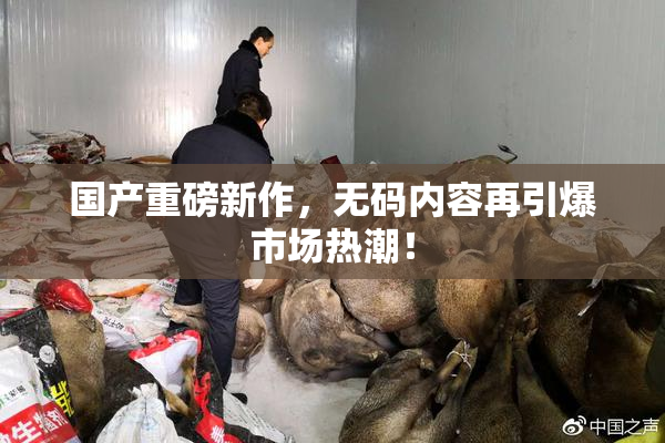 国产重磅新作，无码内容再引爆市场热潮！