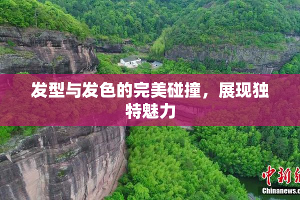发型与发色的完美碰撞，展现独特魅力